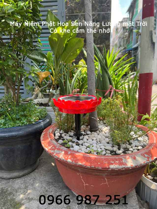 Đài Niệm Phật Hoa Sen Năng Lượng Mặt Trời có thẻ nhớ