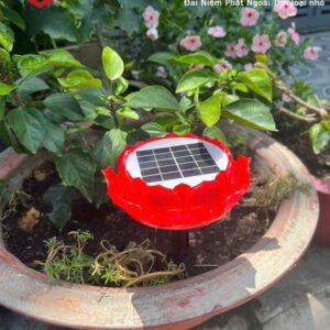 Máy Nghe Kinh Năng Lượng Mặt Trời Loại Nhỏ