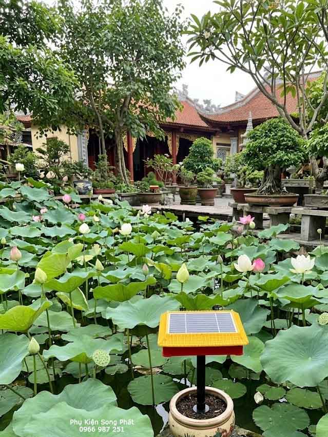 Máy Niệm Phật Mái Chùa Đặt Ở Vườn Cây, Đầm Sen Máy Niệm Phật Mái Chùa Đặt Ở Vườn Cây, Đầm Sen