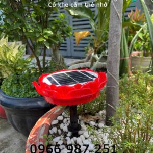 Máy Niệm Phật Hoa Sen Để Ngoài Sân Vườn
