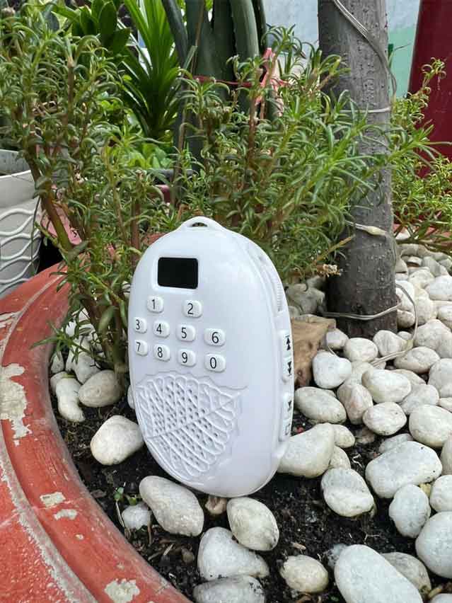Nút Qua Bài Máy Niệm Phật Chiếc Lá Bồ Đề